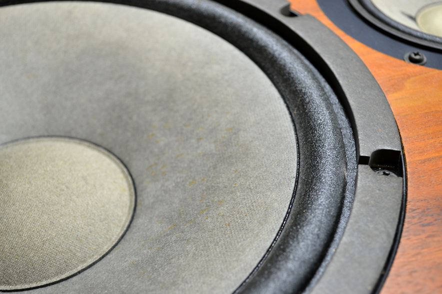 DSC_0003_bass-low.jpg