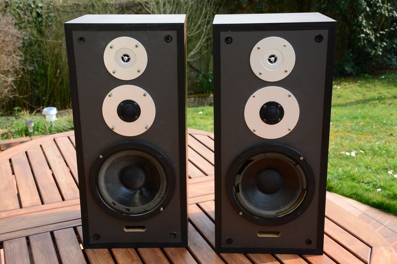 DSC_2642 (Copier).JPG