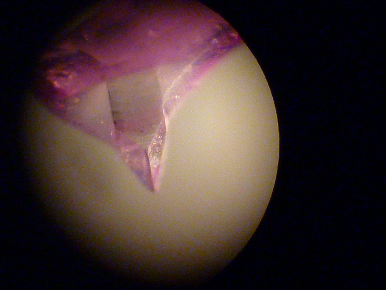 P1170030 (Copier).JPG