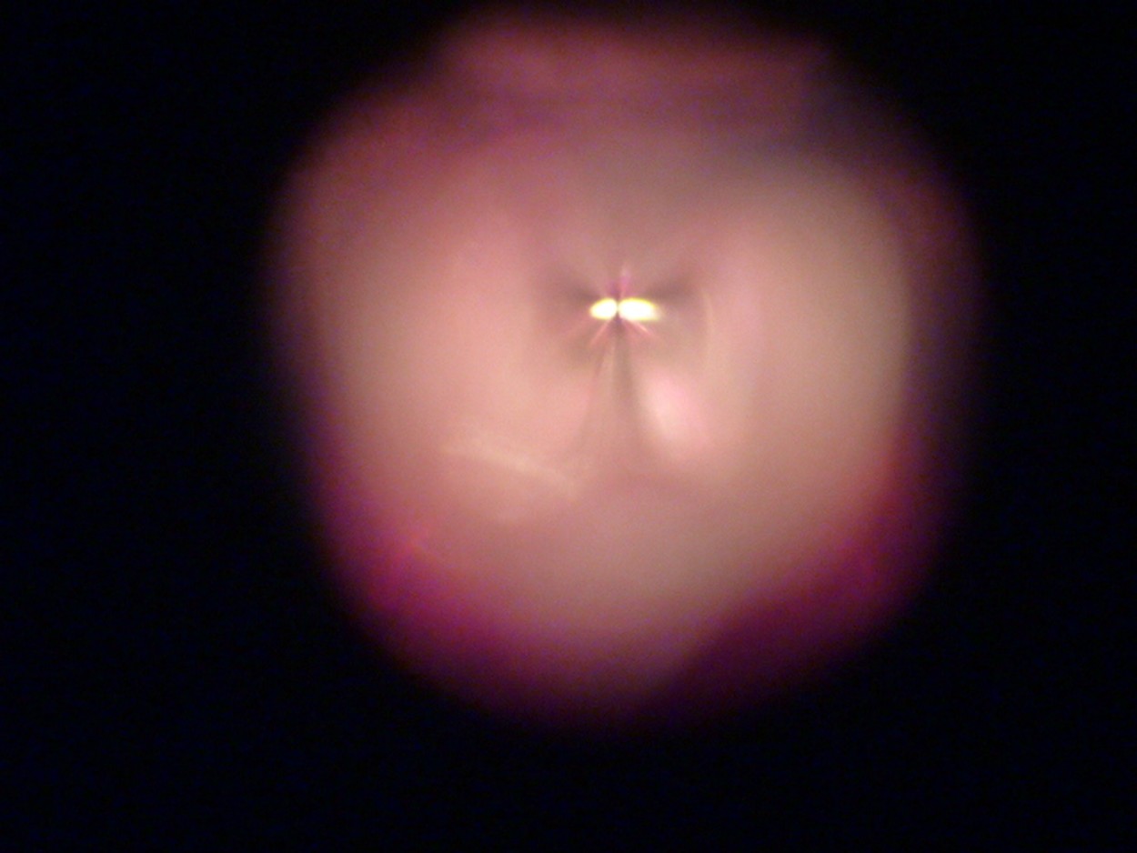 P1170129 (Copier).JPG