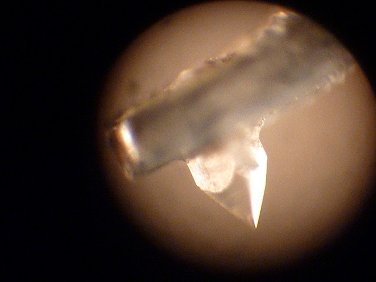 P1170135 (Copier).JPG