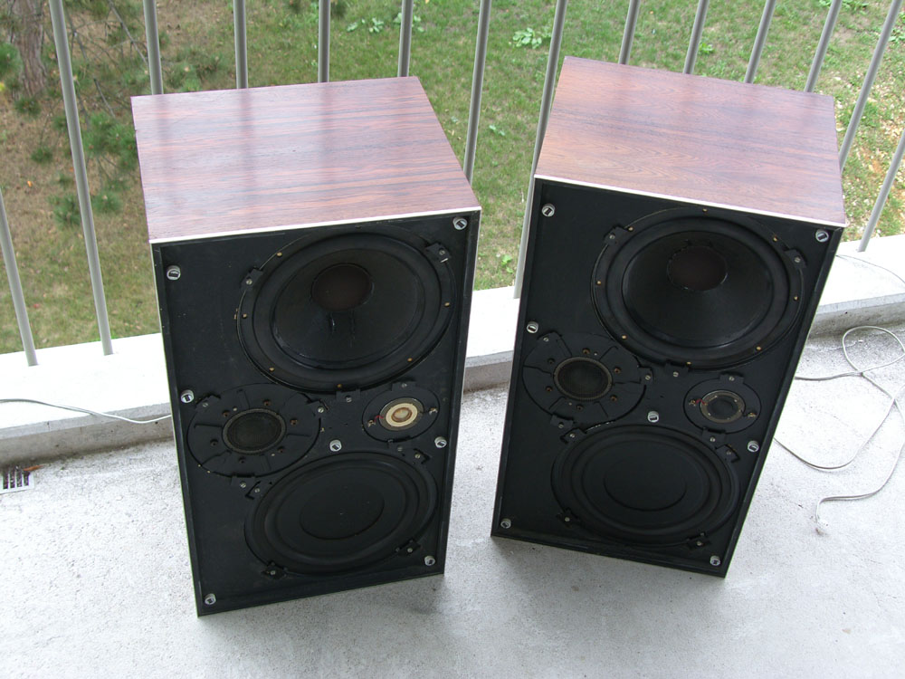 SH106955001.jpg