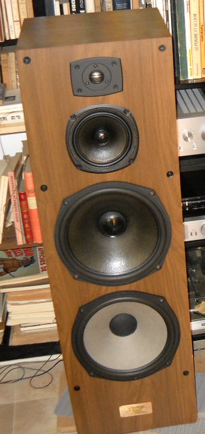 ditton 66 legend.jpg