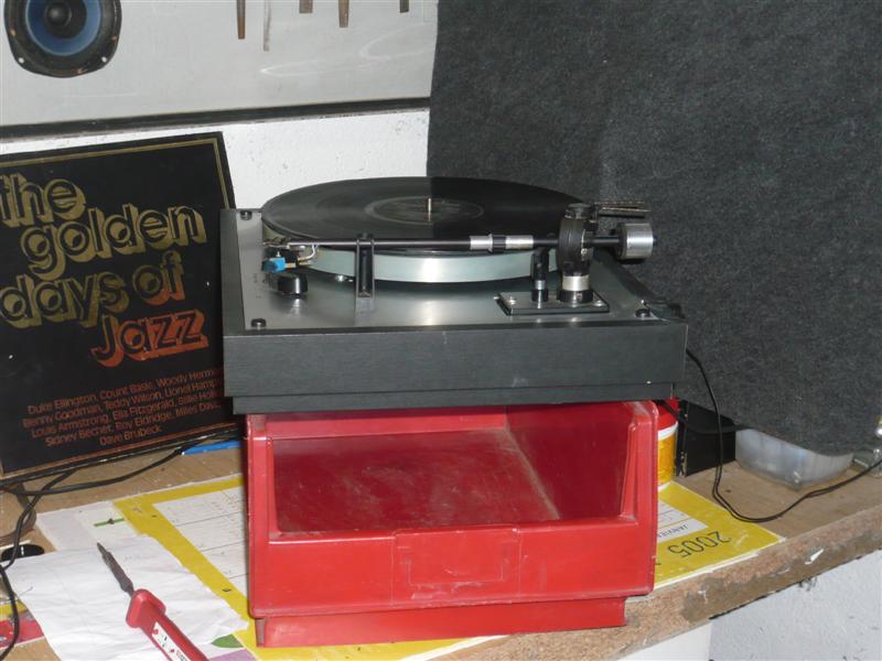 P1010418 (Medium).JPG