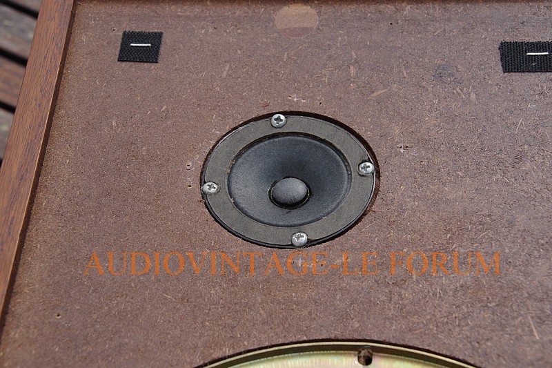 KLH 38 TWEET 2.jpg