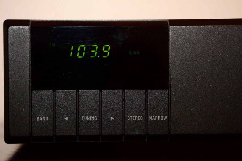DSC_3795 (Copier).JPG