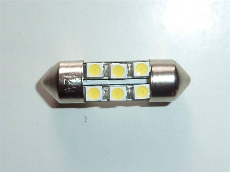 P1030887 (Large).JPG