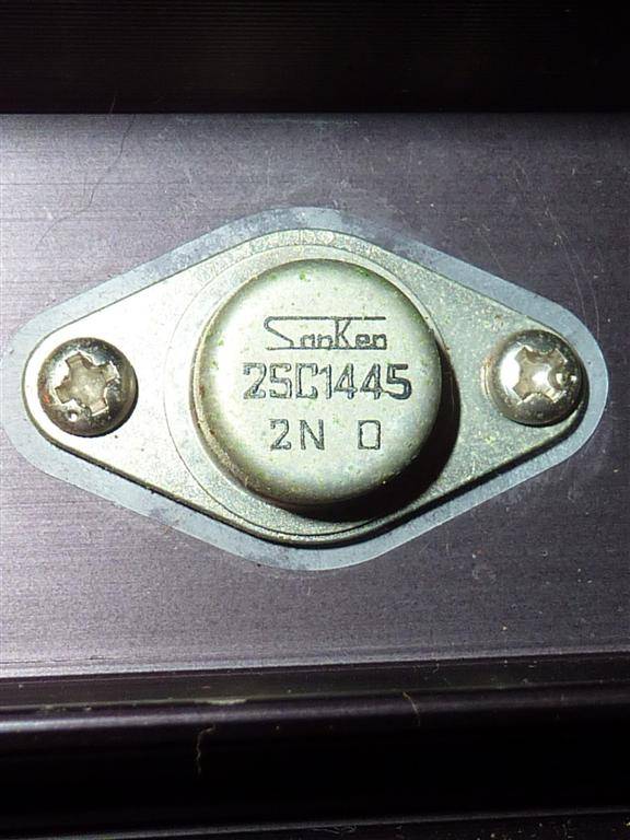 P1030900 (Large).JPG