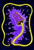 Avatar du membre