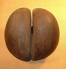 220px-Coco_fesses.jpg