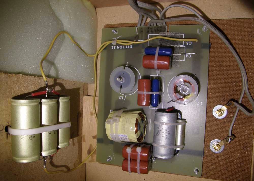 Celestion_Ditton22_1.JPG