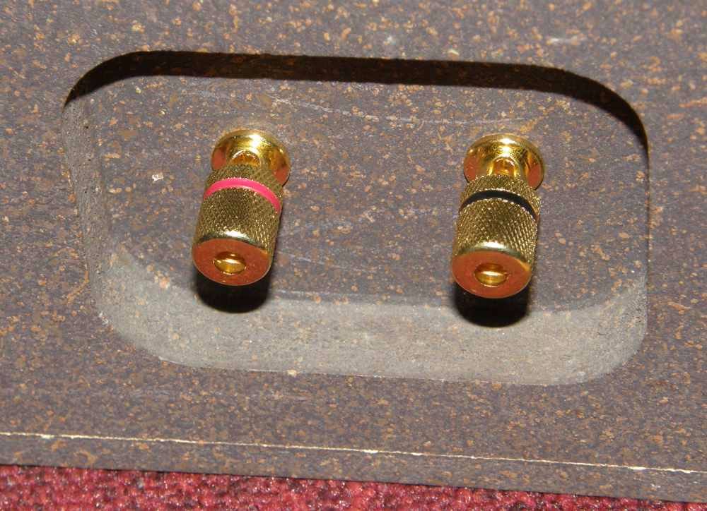 Celestion_Ditton22_11.JPG