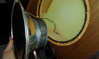 Celestion_Ditton22_22.jpg