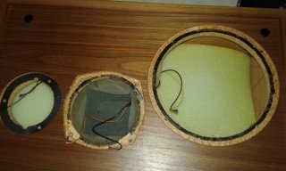Celestion_Ditton22_23.jpg