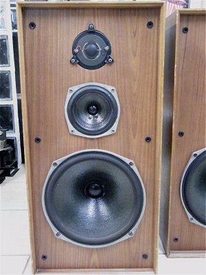 Celestion_Ditton44_16.jpg