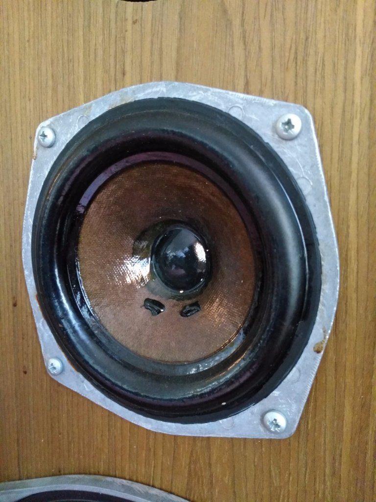 Celestion_Ditton44_31.jpg