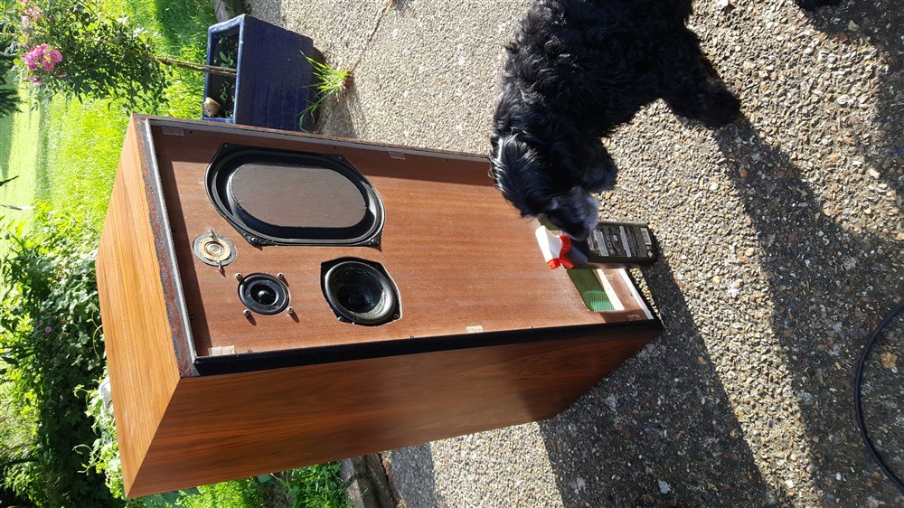 Mon copain chien s'est demandé ce que c'était , ça donne aussi une idée de la taille , la bouteille au pied de l'enceinte fait 1L ..