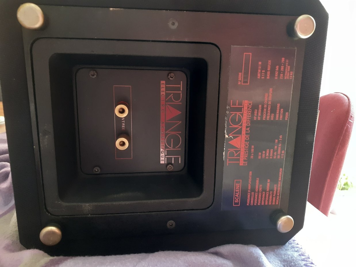 Webp.net-resizeimage (2).jpg