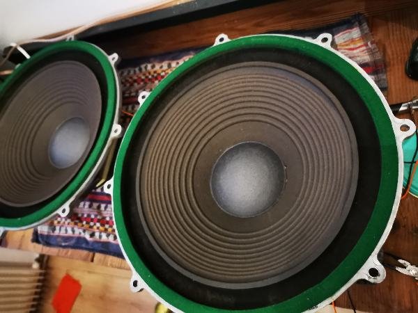 IMG_20201127_174305_resize_78.jpg