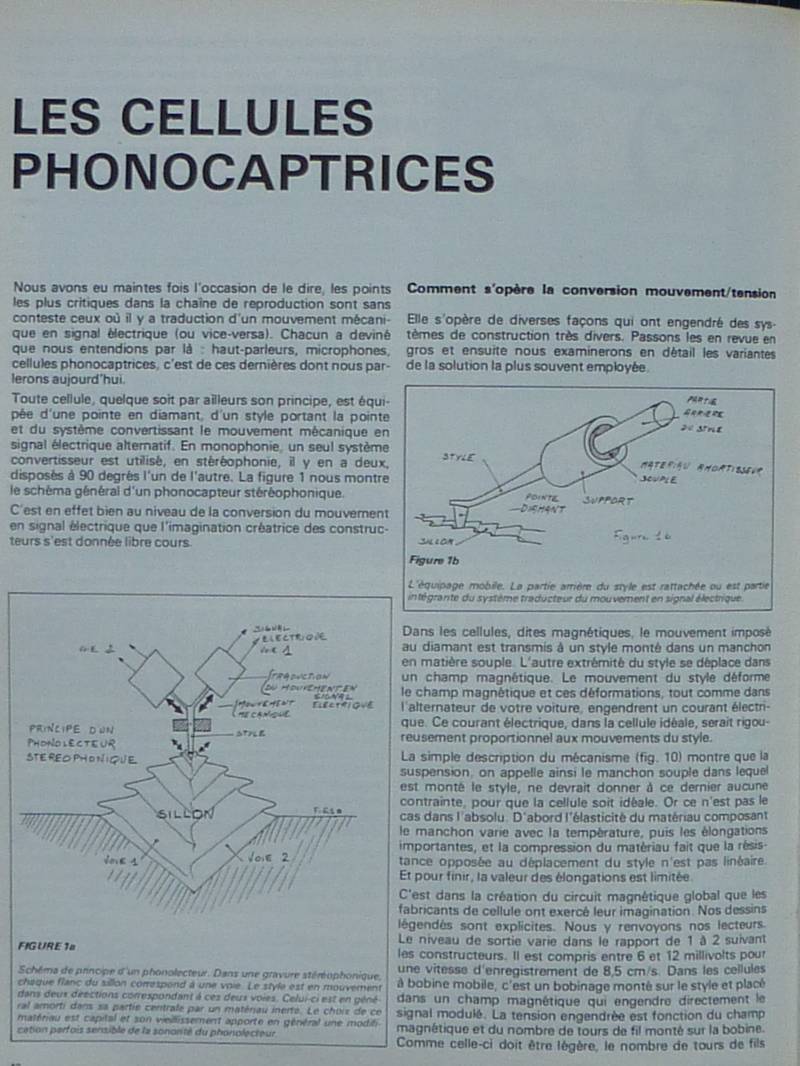 P1050499.JPG