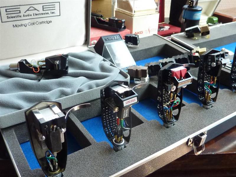 P1050638 (Large).JPG