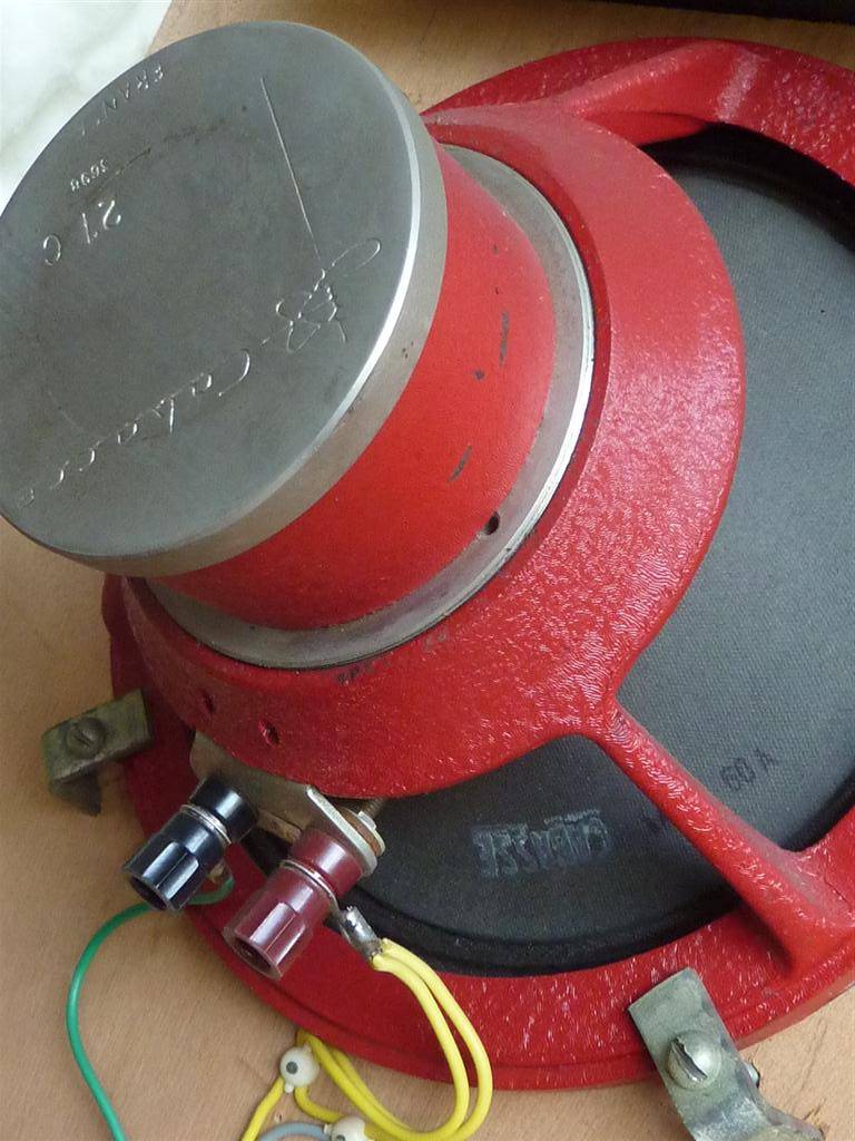 P1060585 (Large).JPG