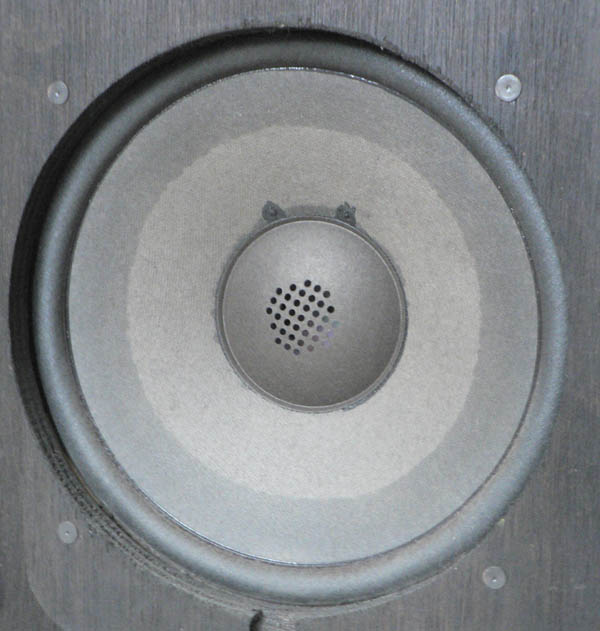 woofer av cs66.jpg