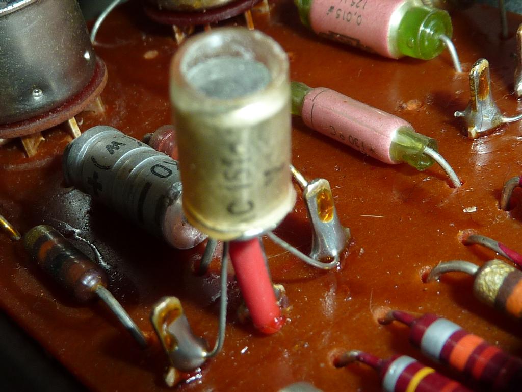 P1070235 (Large).JPG