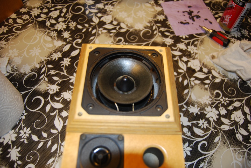 DSC_0044.JPG