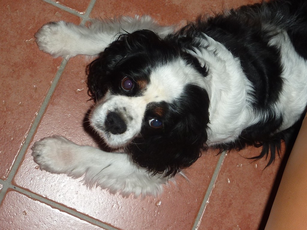 P1090543 (Copier).JPG