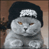 chatpascontent-1.gif