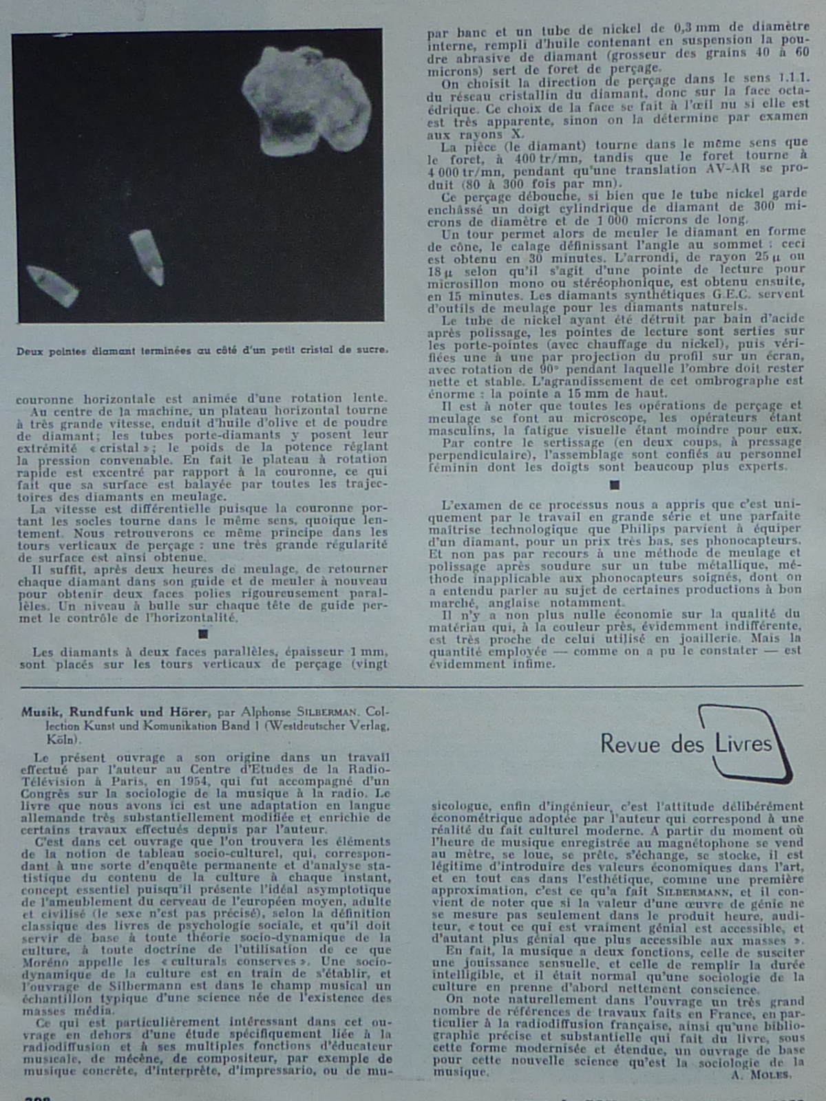 P1100557.JPG
