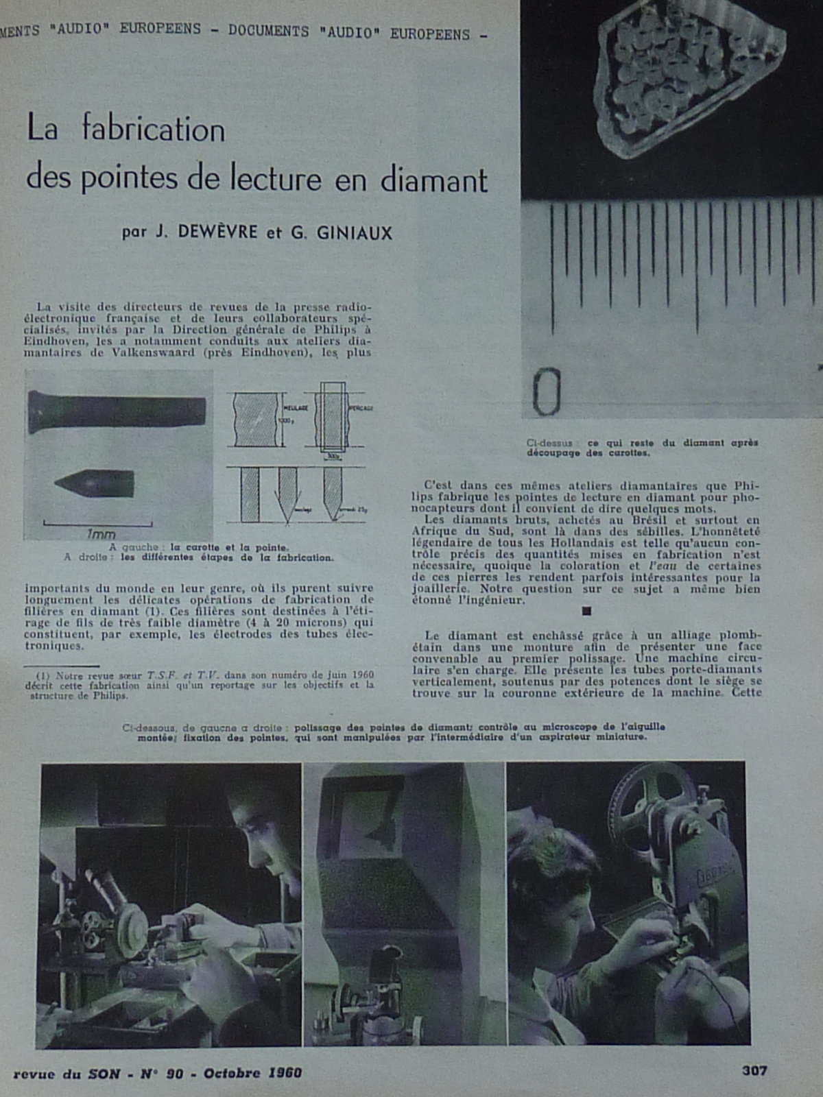 P1100556.JPG