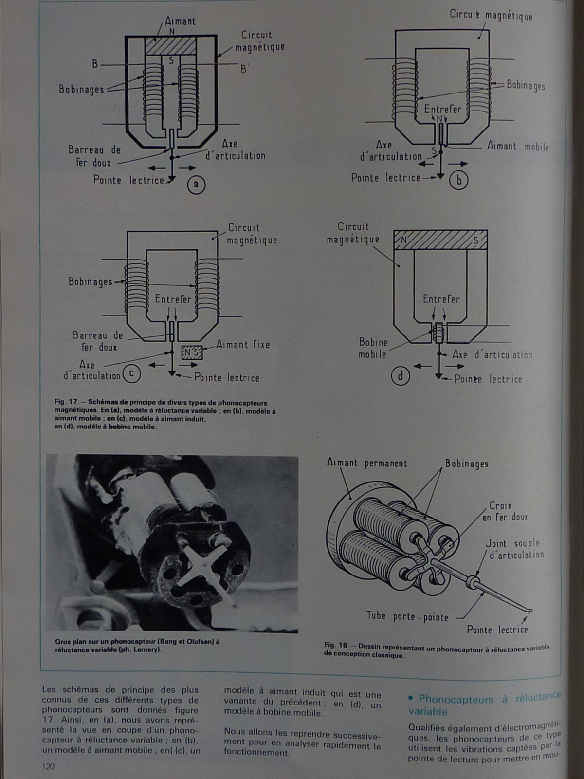 P1100820.JPG
