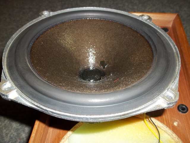 Celestion Ditton 15_G.JPG