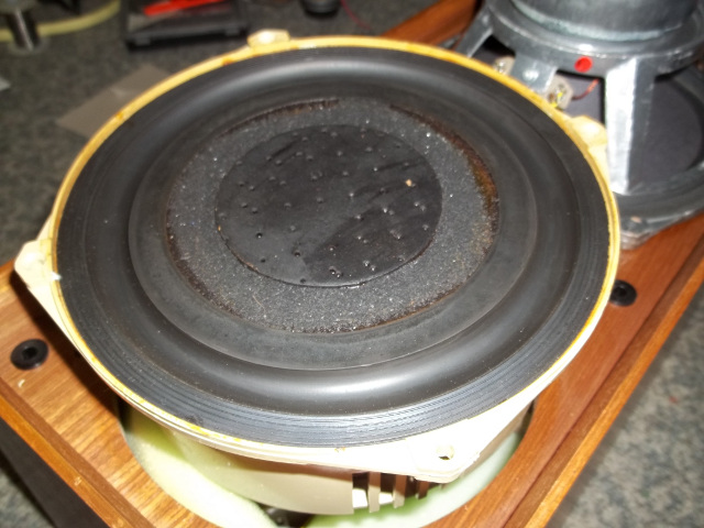 Celestion Ditton 15_I.JPG