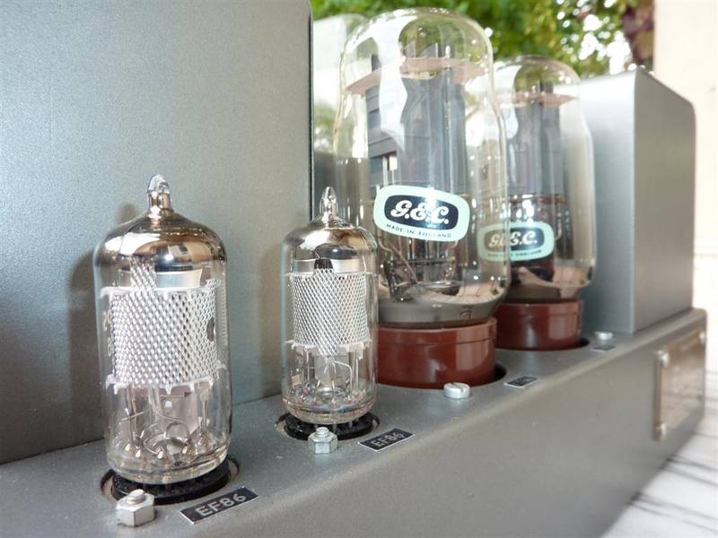 P1010955 (Large).JPG