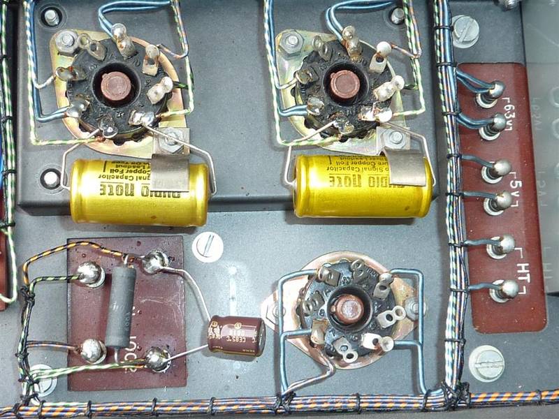 P1010961 (Large).JPG