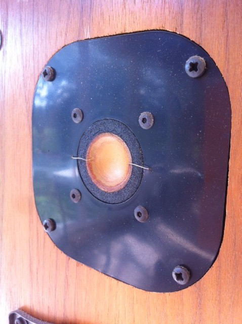 focal3.jpg