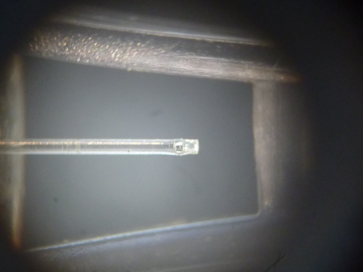 P1160377 (Copier).JPG