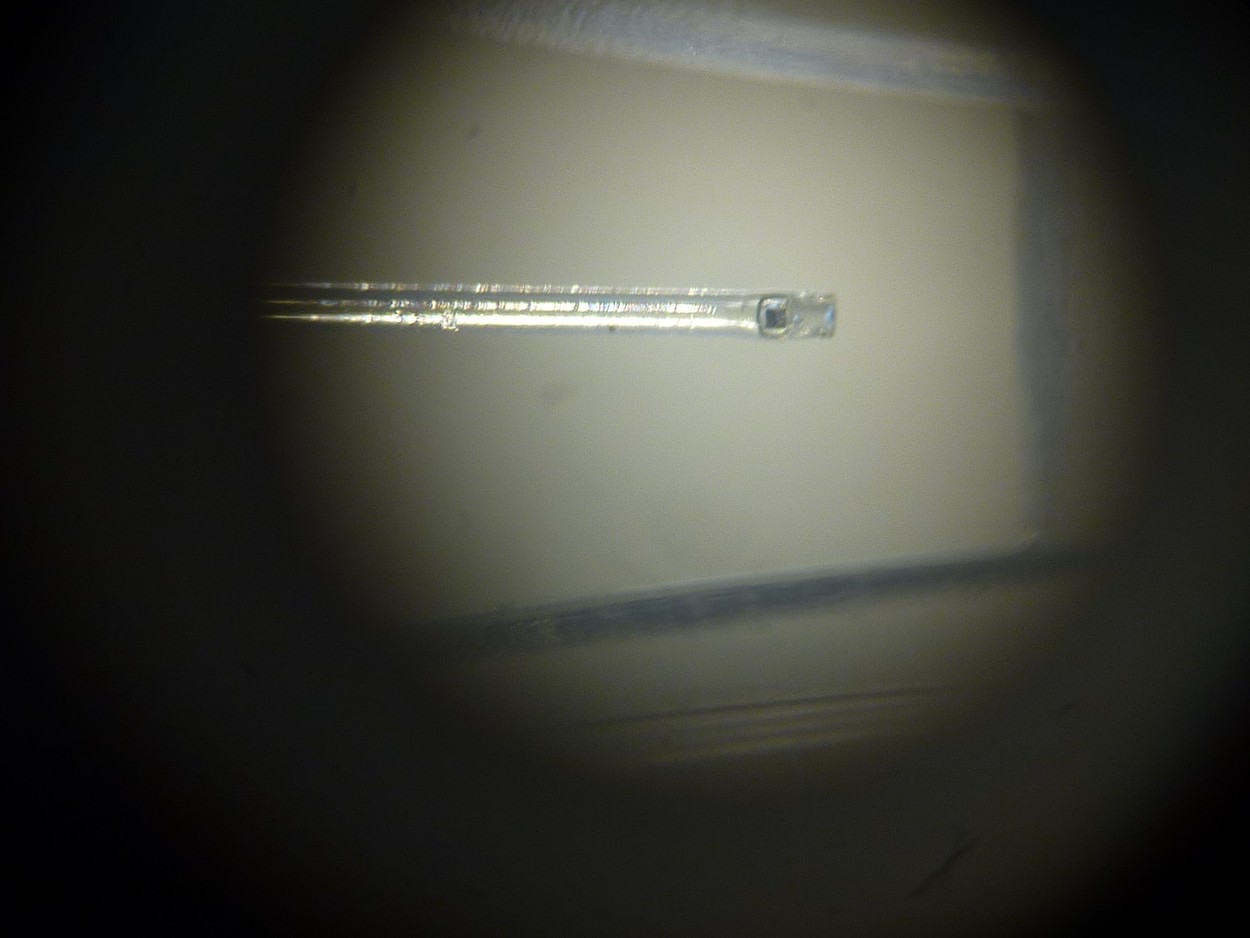 P1160372 (Copier).JPG