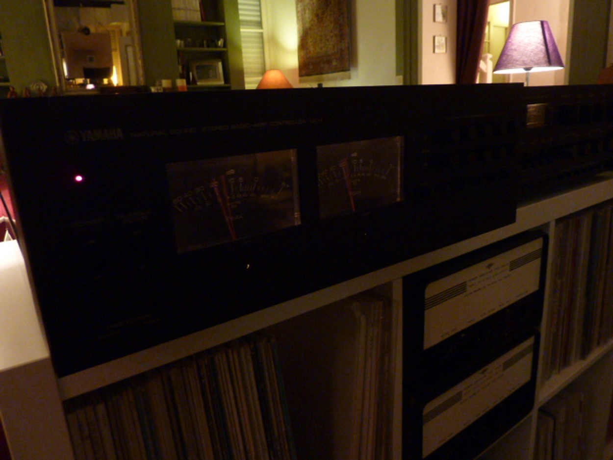 P1160713 (Copier).JPG