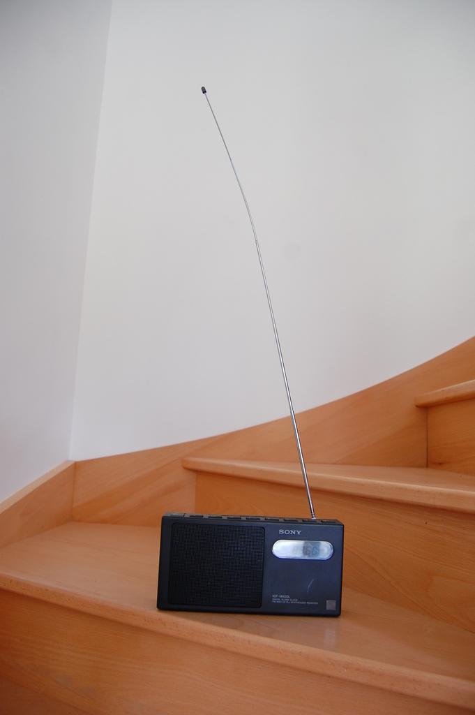 DSC_8131.JPG-avlf.jpg