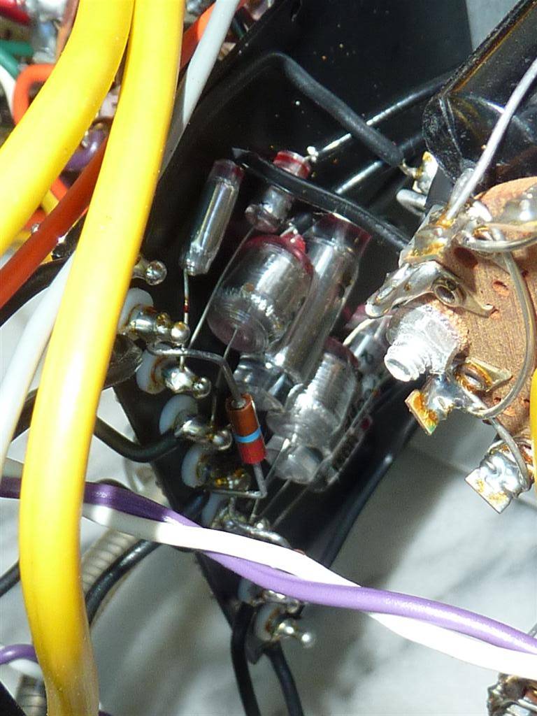 P1020856 (Large).JPG