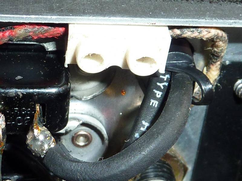 P1020871 (Large).JPG