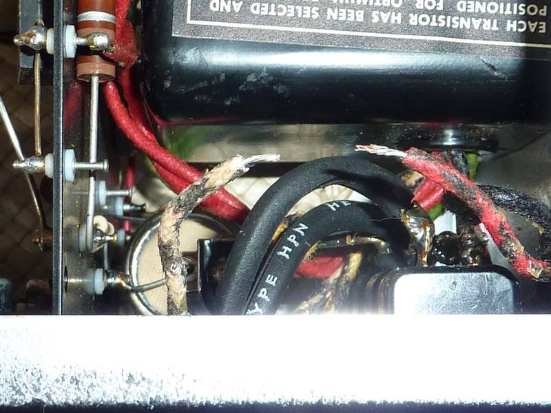 P1020868 (Large).JPG