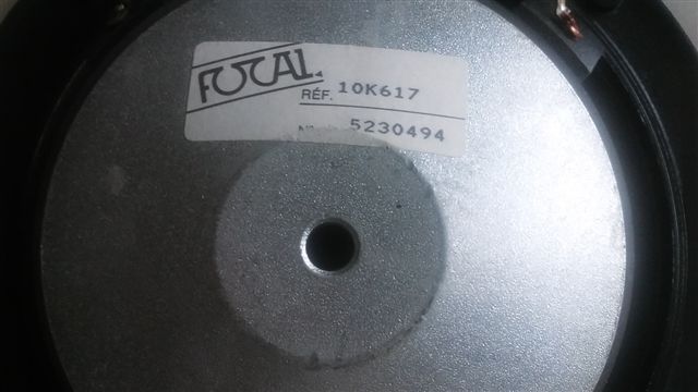 Focal10K617.3.jpg