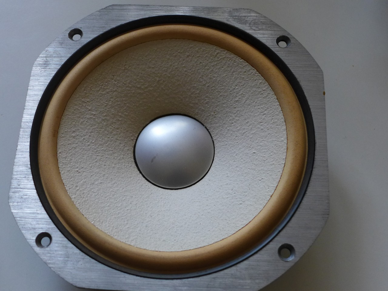 P1010381(1) (Copier).JPG