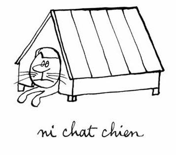 ni chat chien.jpg